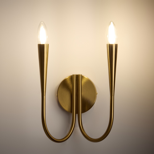 Настенный светильник (бра) Freya FR5253WL-02BS фото 5